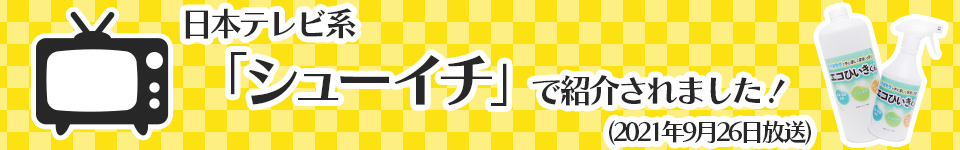 シューイチ放送案内