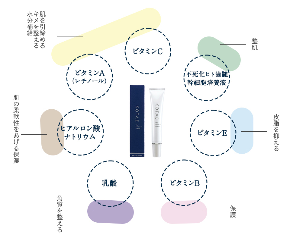 KOTAE 成分図