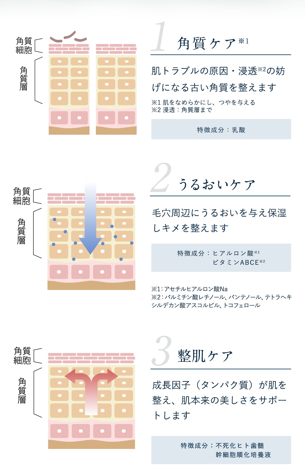 1.角質ケア、2.うるおいケア、3.整肌ケア