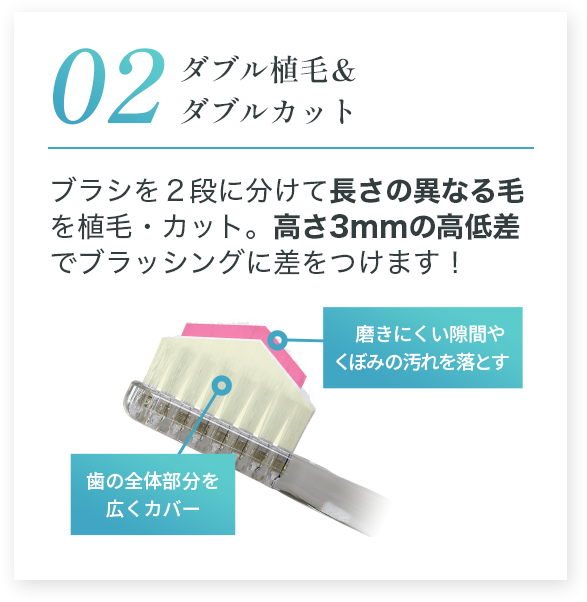 ダブル植毛&ダブルカット ブラシを2段に分けて長さの異なる毛を植毛・カット。高さ3mmの高低差でブラッシングに差をつけます!