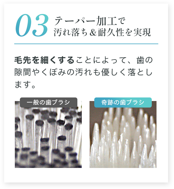 テーパー加工で汚れ落ち&耐久性を実現 毛先を細くすることによって、歯の隙間やくぼみの汚れも優しく落とします。