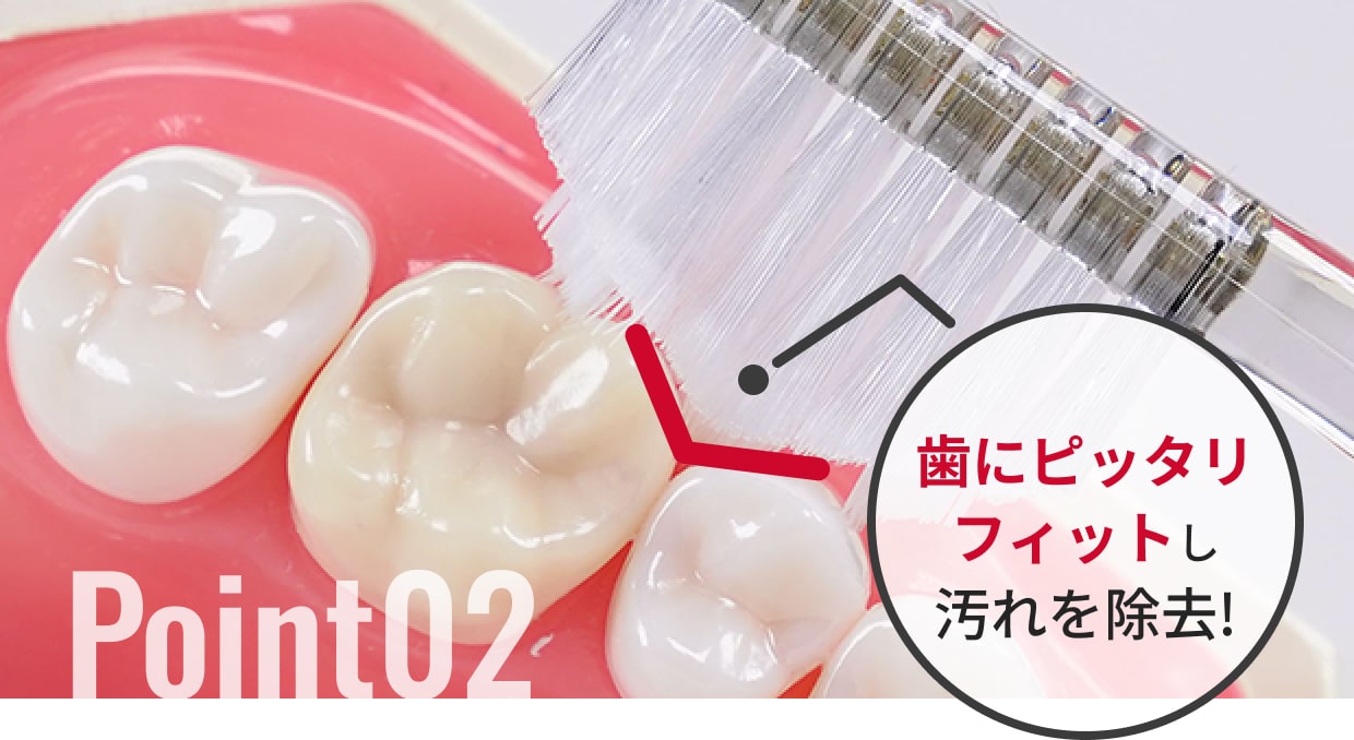 歯にピッタリフィットし汚れを除去!